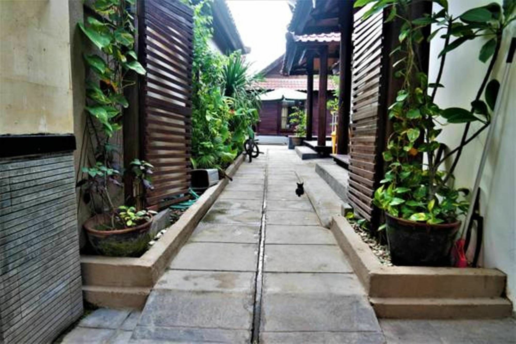 Drupadi Bungalows Gili Trawangan Buitenkant foto